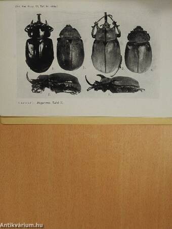 Folia Entomologica Hungarica 1941/3-4.