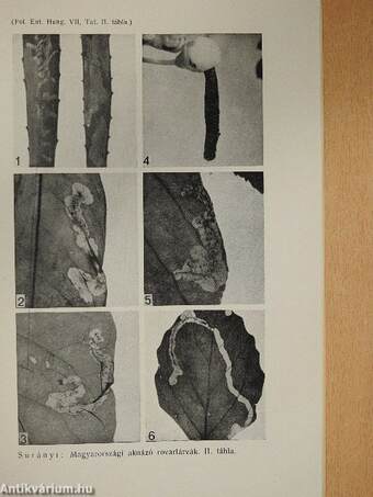 Folia Entomologica Hungarica 1942/1-4.