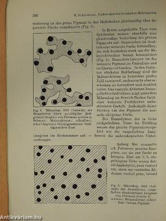 Beiträge zur Entomologie 1953/4.