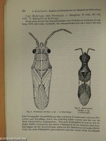 Beiträge zur Entomologie 1953/4.