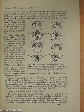 Beiträge zur Entomologie 1953/4.