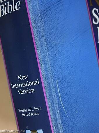 The NIV Study Bible