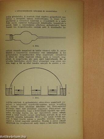 A szövettenyésztés módszere és jelentősége