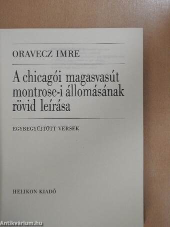 A chicagói magasvasút montrose-i állomásának rövid leírása