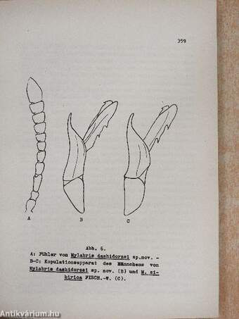 Rovartani Közlemények 1964/17-35.