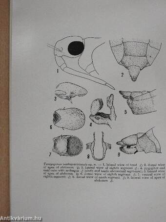 Acta Entomologica Musei Nationalis Pragae 1947. XXV/325-345