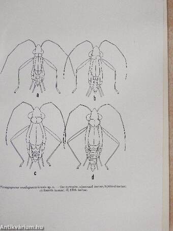 Acta Entomologica Musei Nationalis Pragae 1947. XXV/325-345