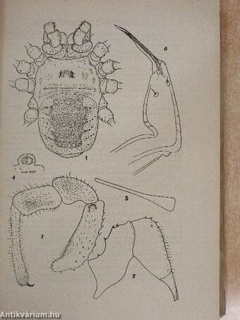 Acta Entomologica Musei Nationalis Pragae 1955. XXX/440-467