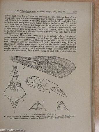 Acta Entomologica Musei Nationalis Pragae 1955. XXX/440-467