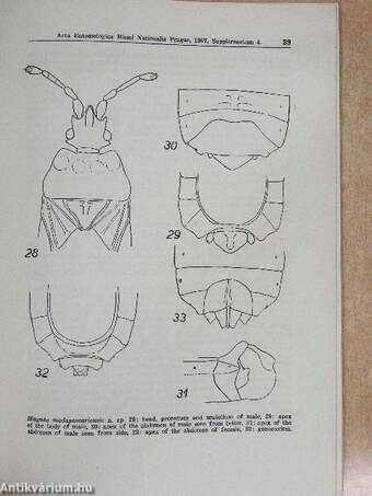 Acta Entomologica Musei Nationalis Pragae 1957/Supplementum 4.