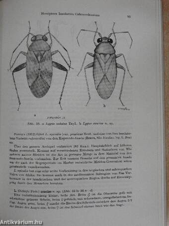 Hemiptera Insularum Caboverdensium