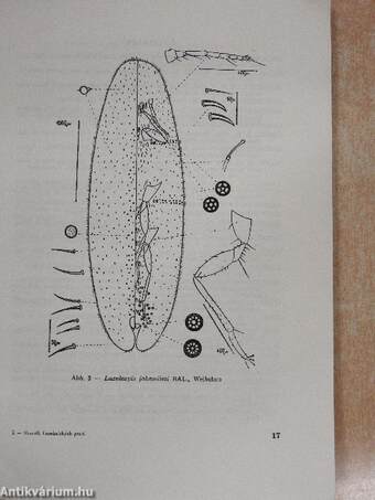 Acta Faunistica Entomologica Musei Nationalis Pragae 1957/2.