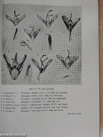 Acta Entomologica Musei Nationalis Pragae 1953-1954. XXIX/423-439