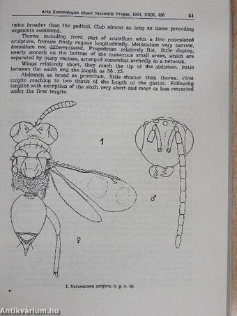 Acta Entomologica Musei Nationalis Pragae 1953-1954. XXIX/423-439