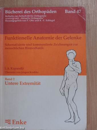 Funktionelle Anatomie der Gelenke 2.