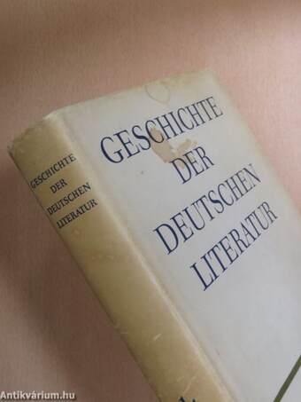 Geschichte der Deutschen Literatur 1.1