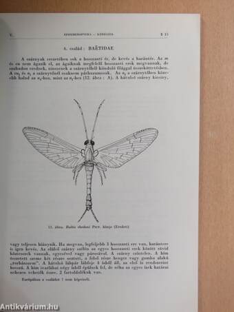 Kérészek/Ephemeroptera