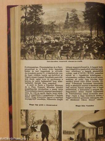 Élet és Tudomány 1960. január-december I-II.