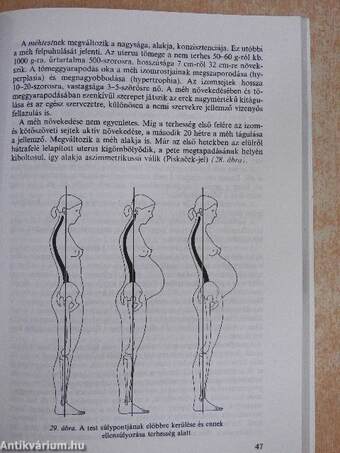 Klinikai ismeretek a szülészet-nőgyógyászat köréből ápolónők részére