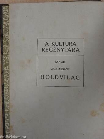 Holdvilág