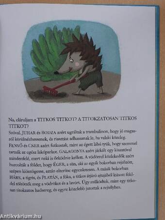 Titkos titok és jégtáblás nagyeskü