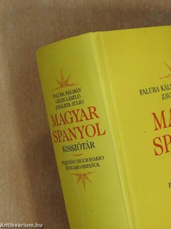 Magyar-spanyol kisszótár