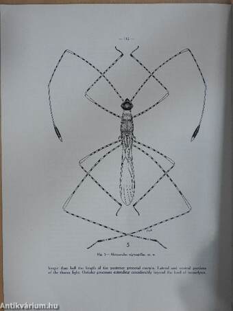 Museu do dundo/Subsídios para o Estudo da biologia na Lunda