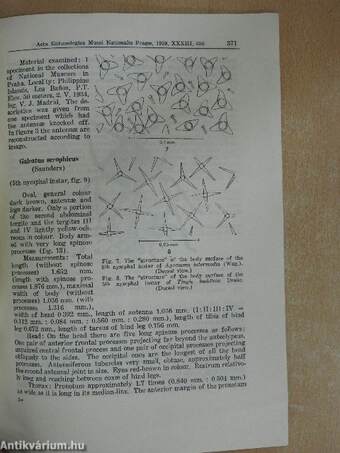 Contribution to the knowledge of new or little known last Nymphal Instars of some tingid-bugs