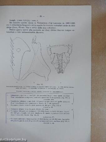 I Rincoti di Valmalenco