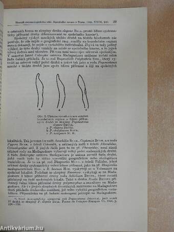 Vyznam geografické variability hmyzích druhu pro resení otázek zoogeografickych a vyvojovych