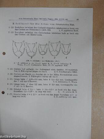 Beitrag zur Systematik der Cydnidae (Hem. Heteropt.)