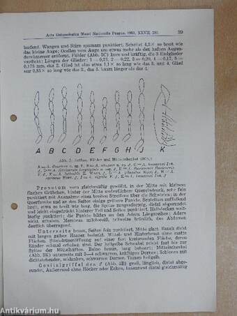 Beitrag zur Systematik der Cydnidae (Hem. Heteropt.)