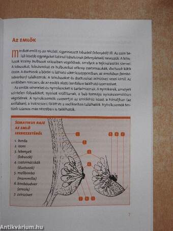 Amit az emlőrákról tudni kell