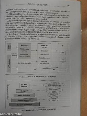 A gazdasági informatika alapjai