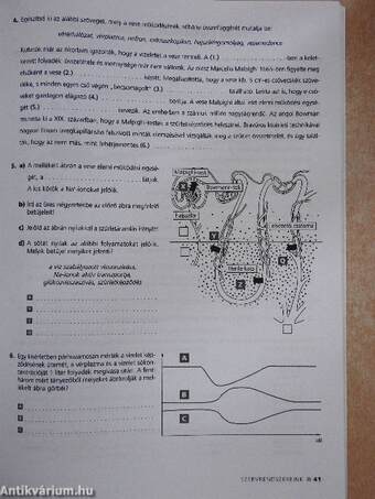 Biológia 11. Munkafüzet