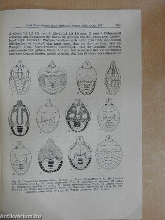 Bemerkungen über einige stadien der larven von pentatomoidea in der zoologischen abteilung des Ungarischen National-Museums