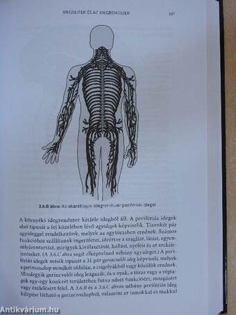 Fejleszd a gondolkodásod