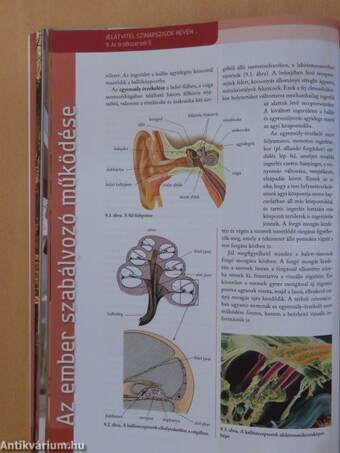 Biológia 12.