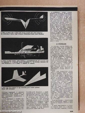 Élet és Tudomány 1981. január-június (fél évfolyam)