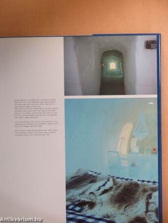 Icehotel