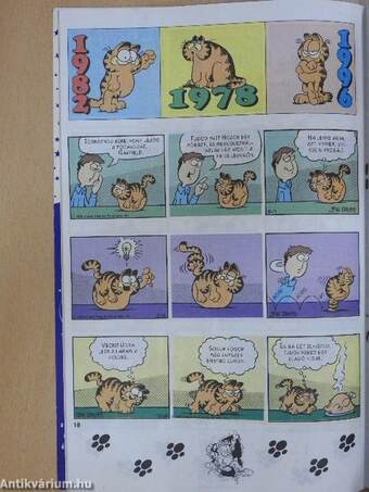 Garfield 1996/2.