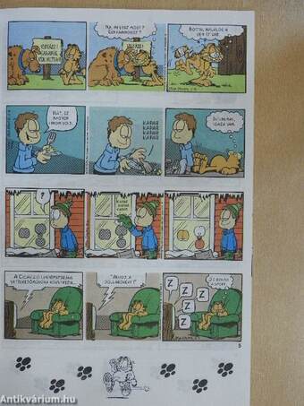 Garfield 1996/2.