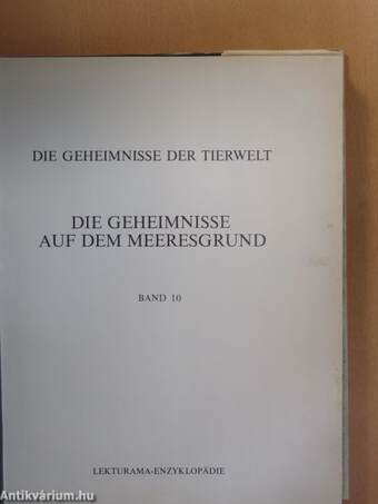 Die Geheimnisse Auf Dem Meeresgrund