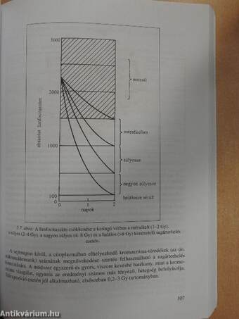 Radioökológia és környezeti sugárvédelem