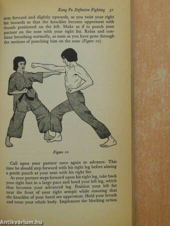 Defend Yourself with Kung Fu