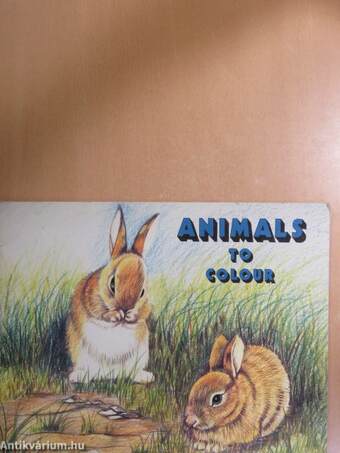 Animals to Colour