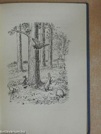 The House at Pooh Corner