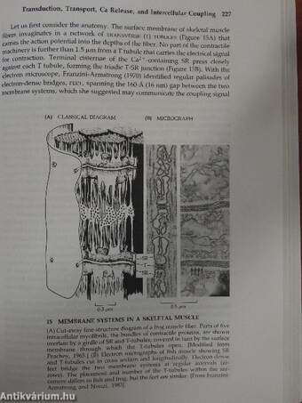 Ionic Channels of Excitable Membranes