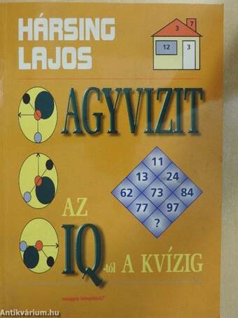 Agyvizit