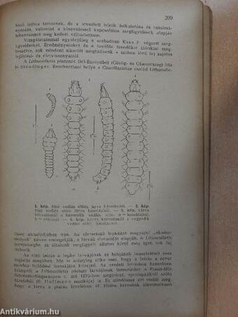 Állattani Közlemények 1942/3-4.